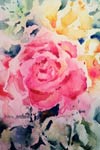 Pink & Yellow Roses by Marie Natale