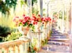Sicilin Stairway by Marie Natale