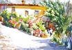 Villa in Bloom