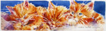 Marie Natale Watercolor Pets & Animals