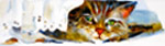 Marie Natale Watercolor Pets & Animals